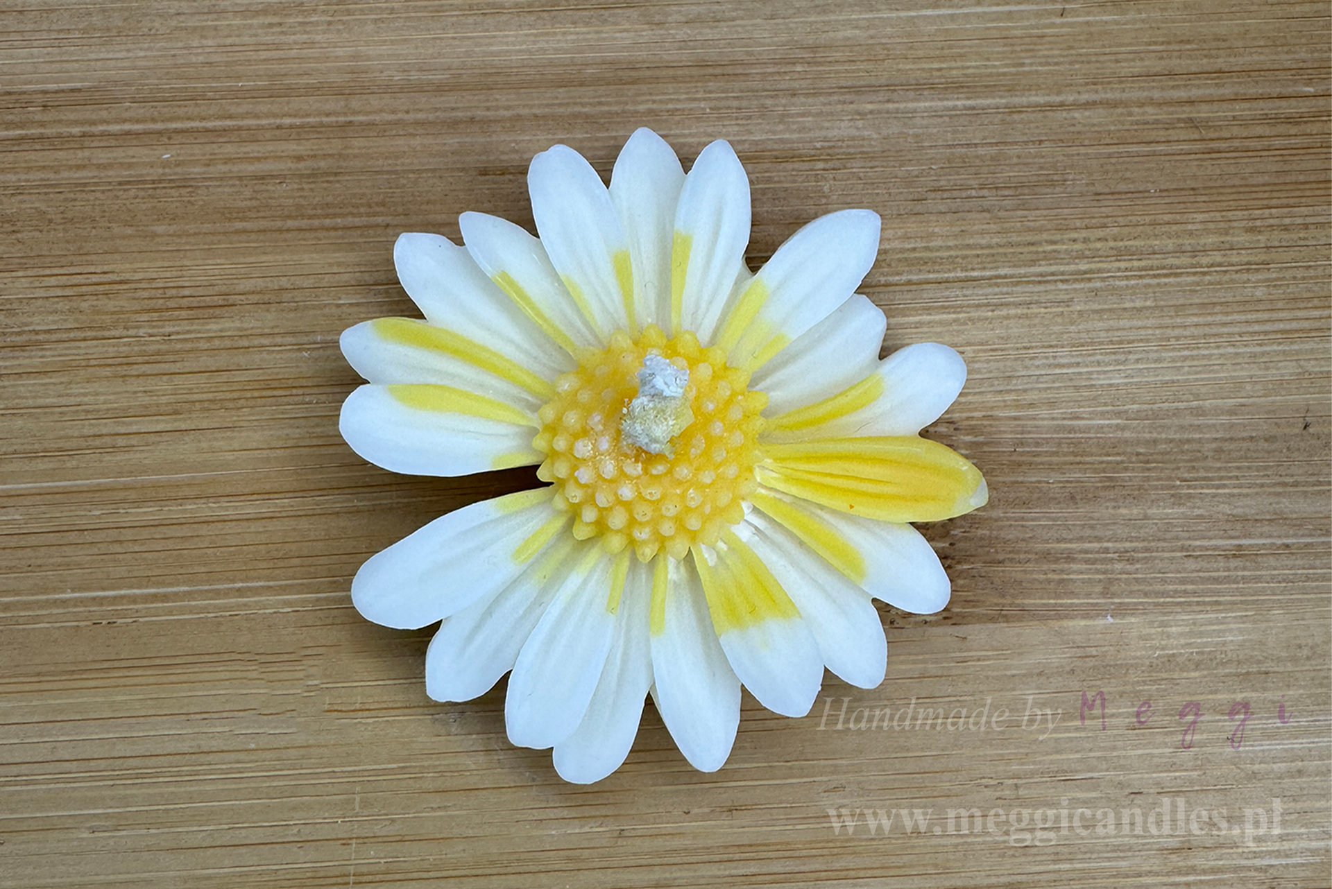 Świec Sojowa Meggi Kwiat Rumianku leżąca na drewnie